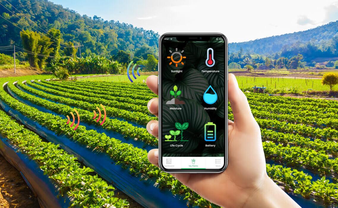 Smart Farming Revolution: Software, Examples and New Ideas